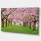 Designart - Stunning Cherry Blossoms Plenitude - Landscape Canvas Art Print
